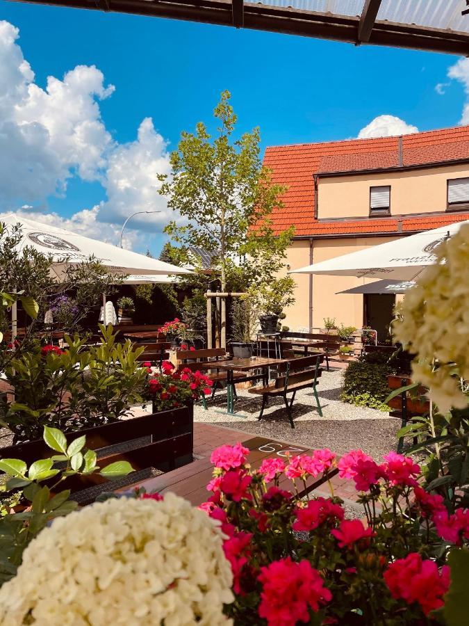 Landgasthof Zur Sonne Диллинген-ан-дер-Донау Экстерьер фото