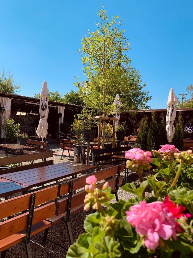 Landgasthof Zur Sonne Диллинген-ан-дер-Донау Экстерьер фото
